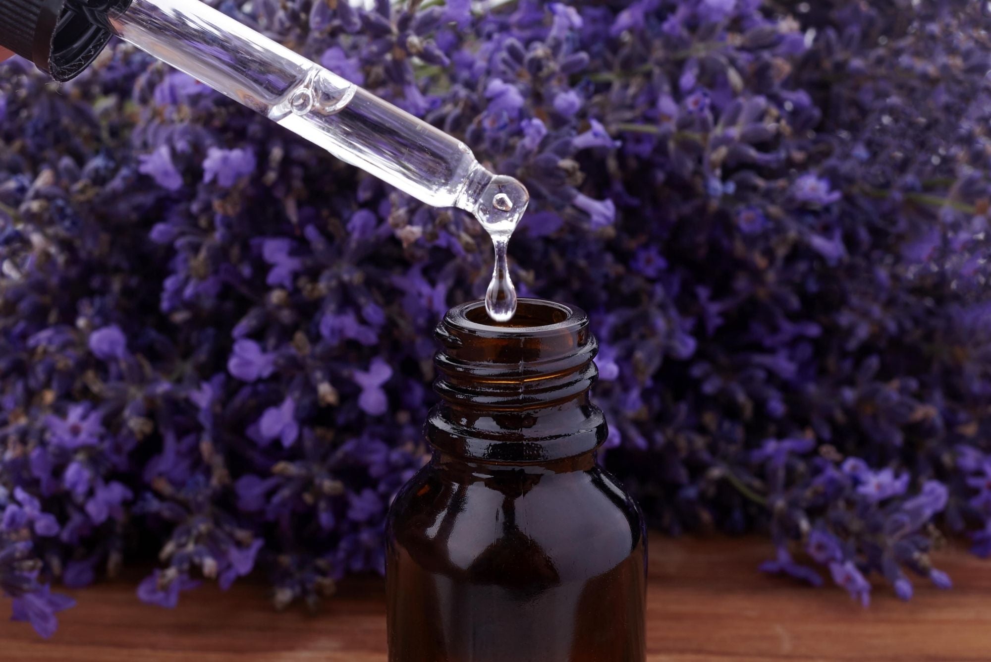 Close-up of dropper dispensing lavender oil into an amber bottle with fresh lavender in the background