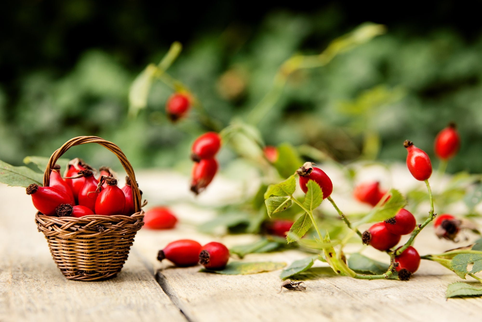 rosehip skincare
