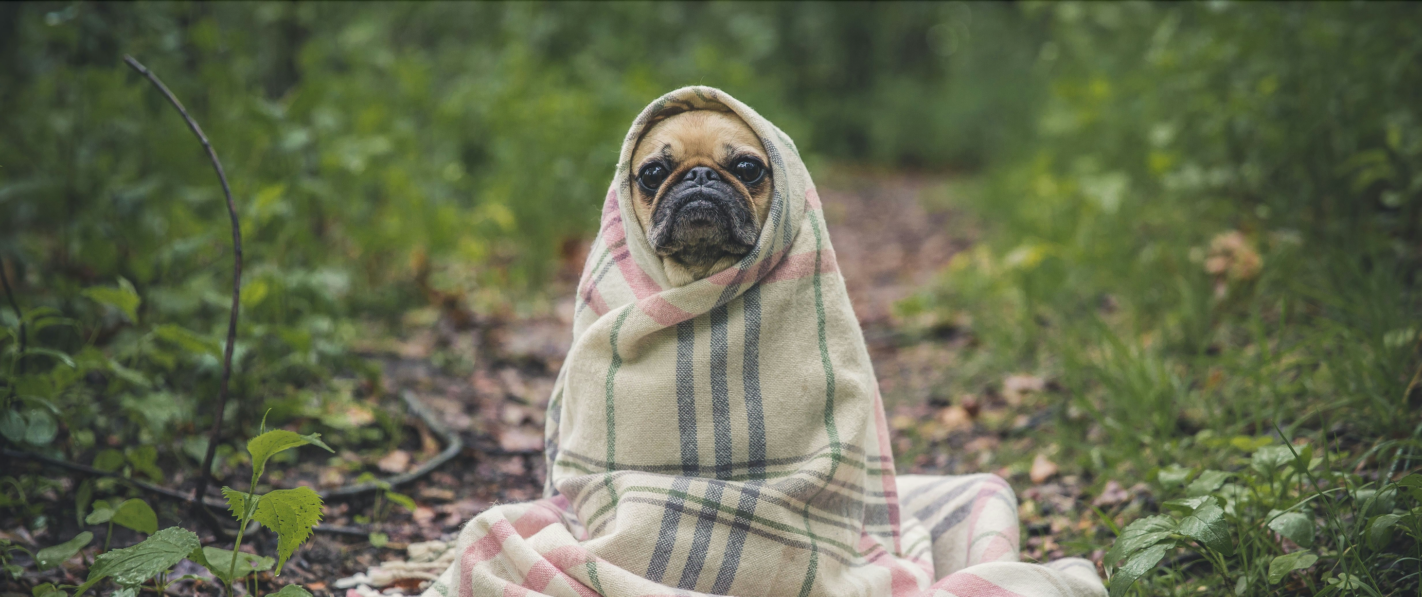 Is your skin winter-ready?