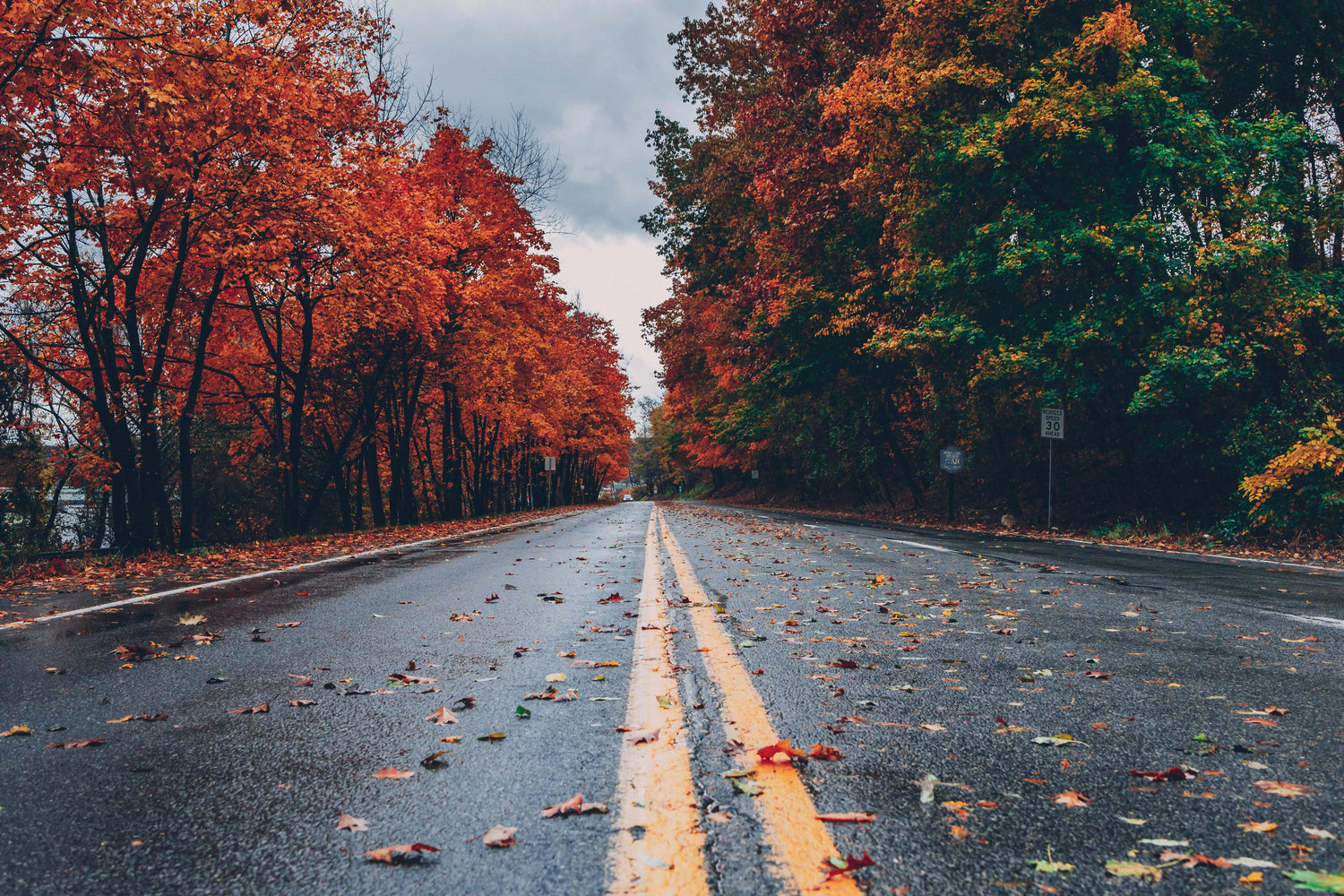 From Warm Days to Cooler Temperatures: What to look out for during this seasonal shift