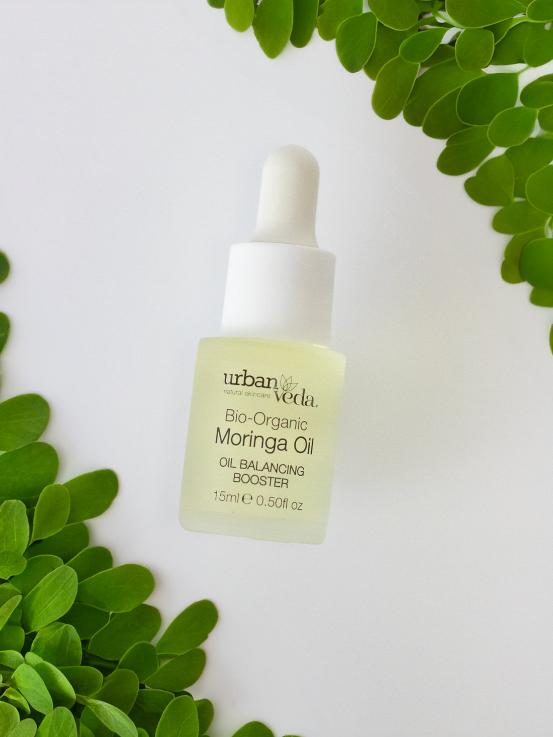 moringa essential oil - urban veda