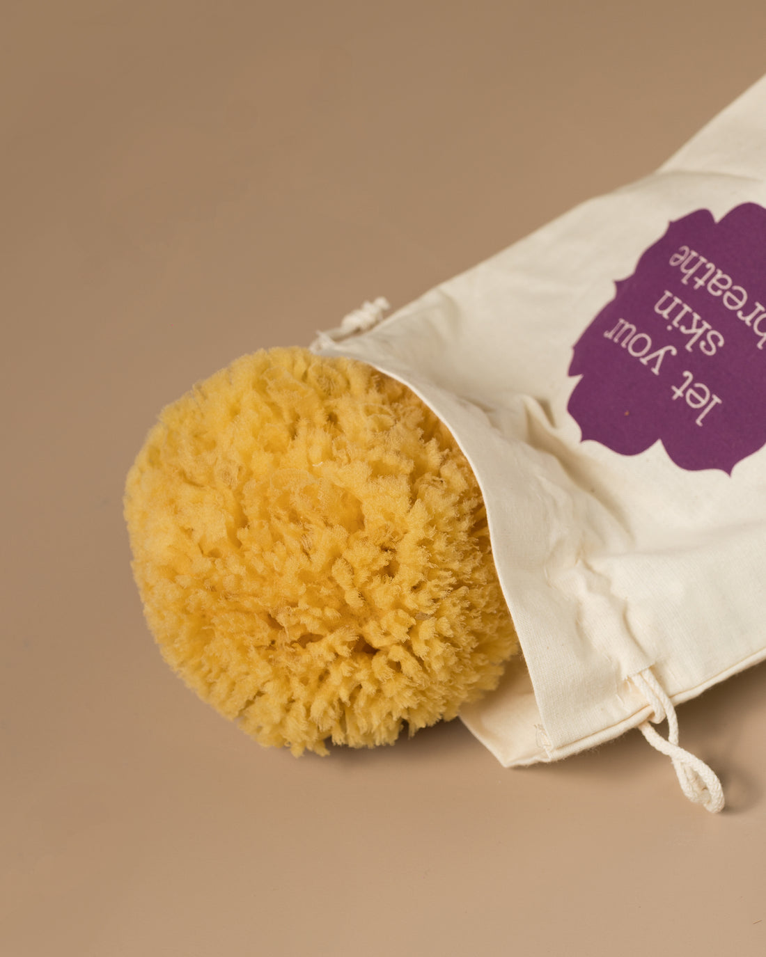 Ecological Sea Sponge